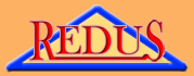 Primary Raster logo